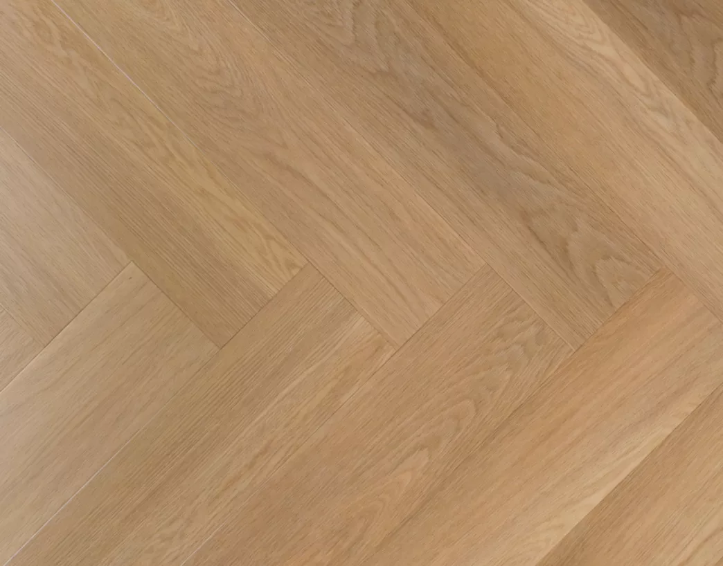 95055 95063 Hibiscus 1 1