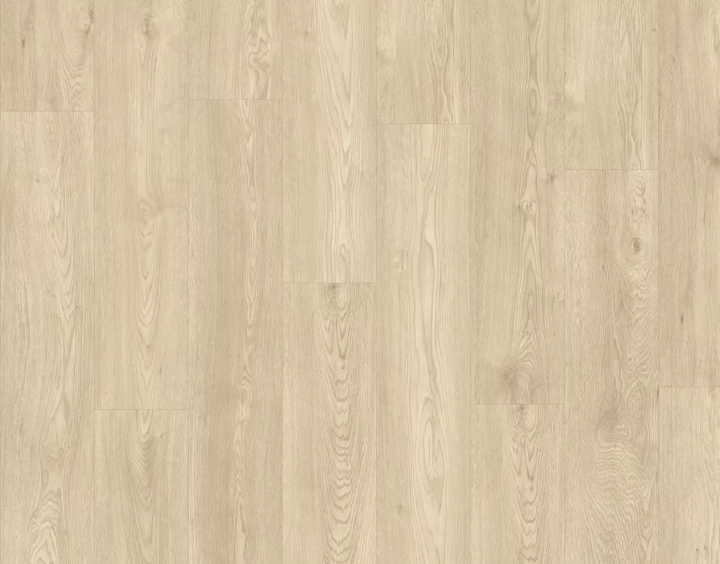 Zeeland PVC Plak Domburg 400108248 topshot scaled