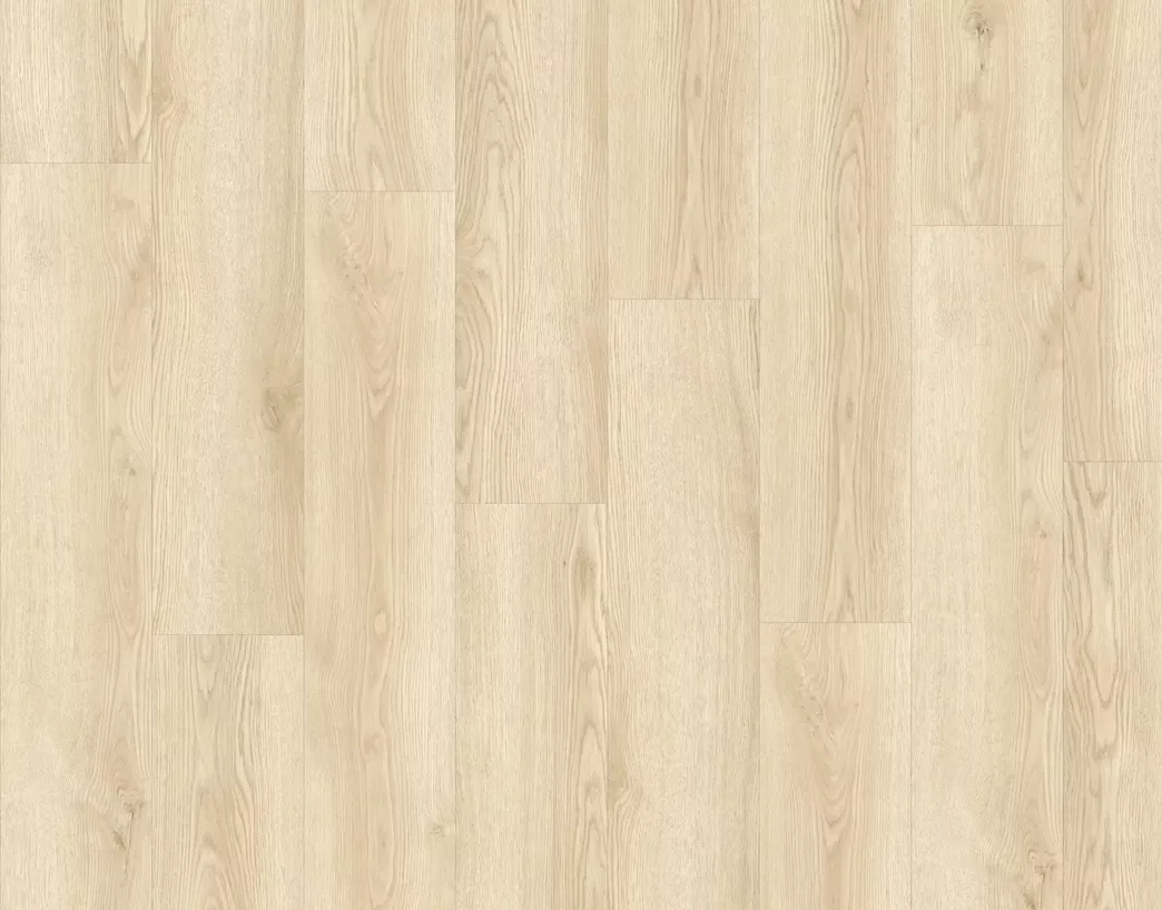 Zeeland PVC Plak Terneuzen 400108246 topshot scaled
