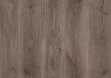 Ash