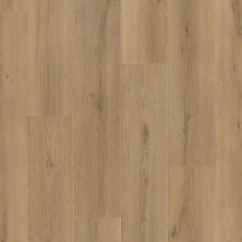 highlighted image