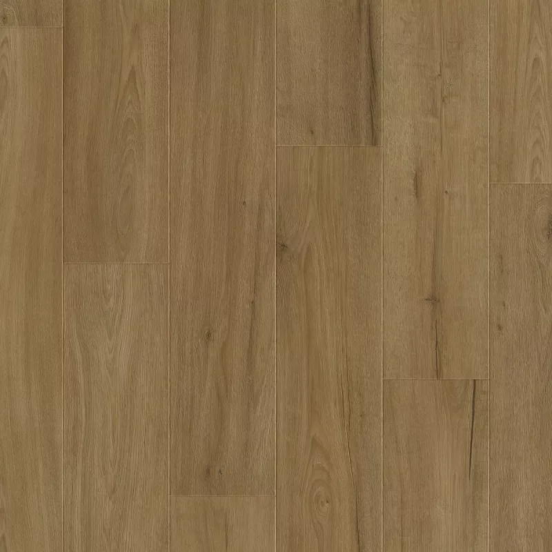 highlighted image