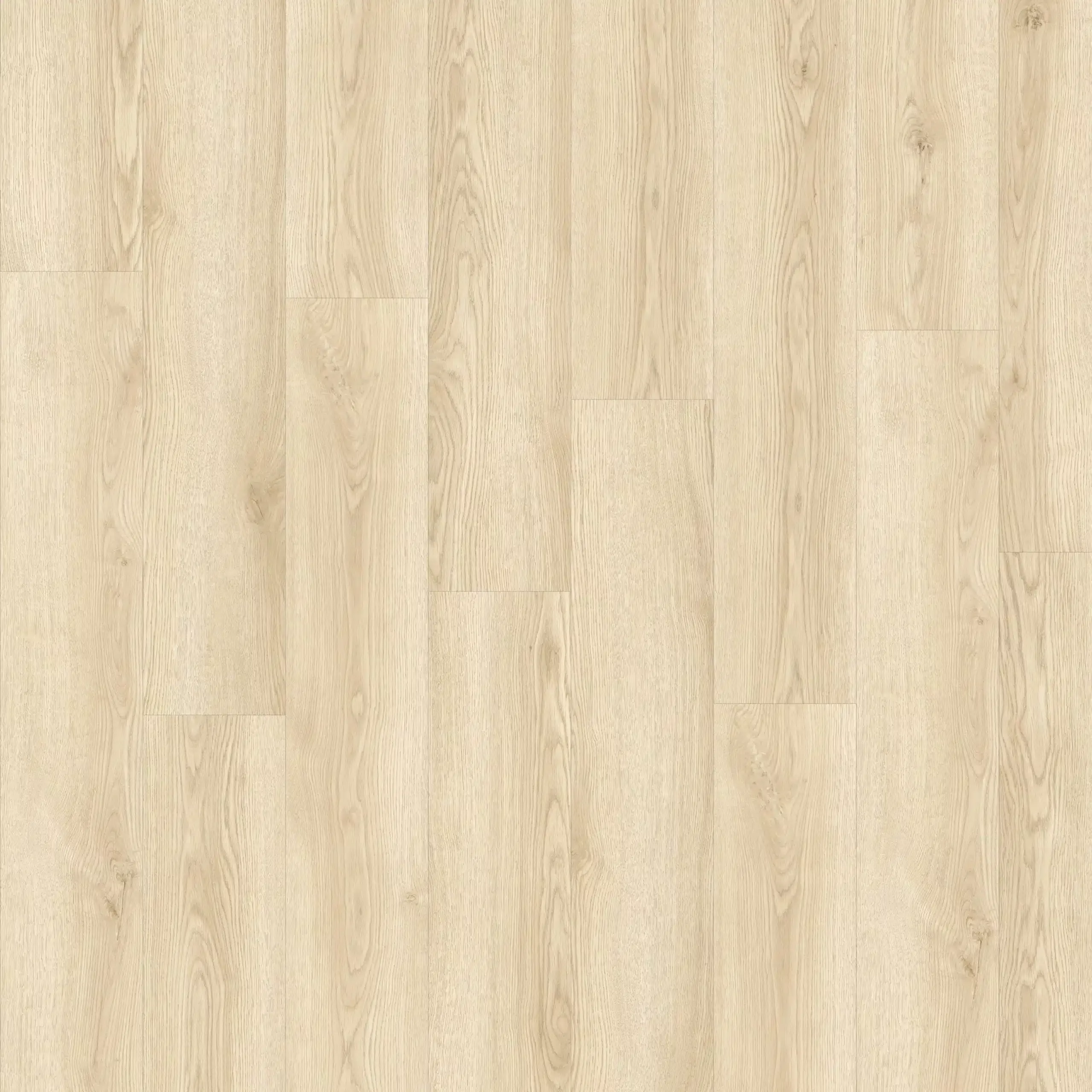 highlighted image
